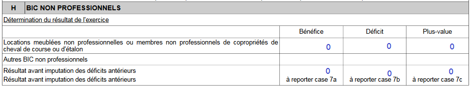 2031 Bis-SD Annexe BIC Non Prefessionnels